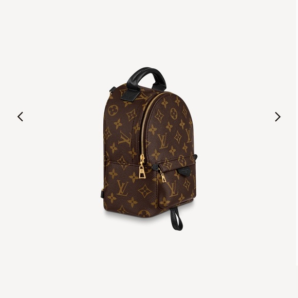 LV Palm Spring Mini - Picture 14 of 15